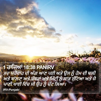 1 ਰਾਜਿਆਂ 18:38 PANIRV Bible Verse Image