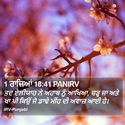 1 ਰਾਜਿਆਂ 18:41 PANIRV Bible Verse Image