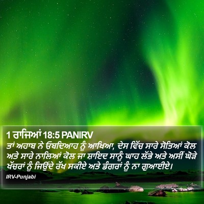 1 ਰਾਜਿਆਂ 18:5 PANIRV Bible Verse Image