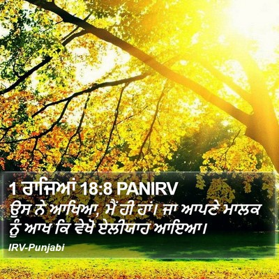 1 ਰਾਜਿਆਂ 18:8 PANIRV Bible Verse Image