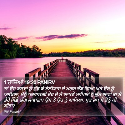 1 ਰਾਜਿਆਂ 19:20 PANIRV Bible Verse Image