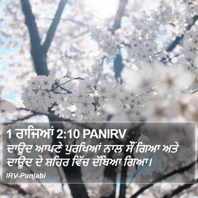 1 ਰਾਜਿਆਂ 2:10 PANIRV Bible Verse Image