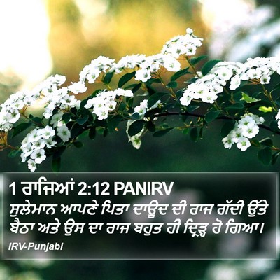 1 ਰਾਜਿਆਂ 2:12 PANIRV Bible Verse Image