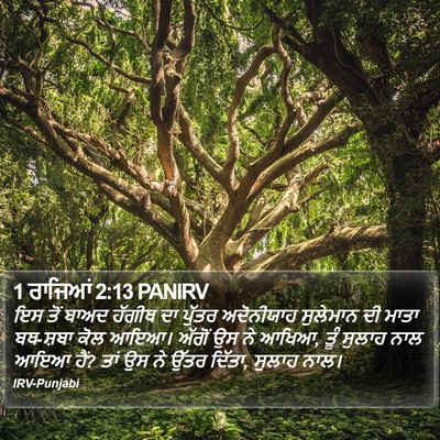 1 ਰਾਜਿਆਂ 2:13 PANIRV Bible Verse Image