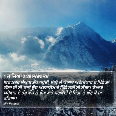 1 ਰਾਜਿਆਂ 2:28 PANIRV Bible Verse Image