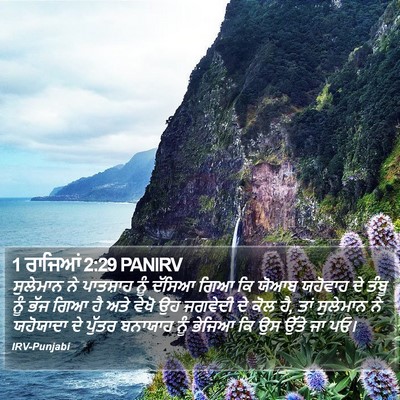 1 ਰਾਜਿਆਂ 2:29 PANIRV Bible Verse Image