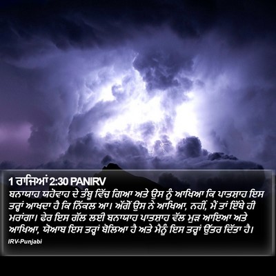 1 ਰਾਜਿਆਂ 2:30 PANIRV Bible Verse Image