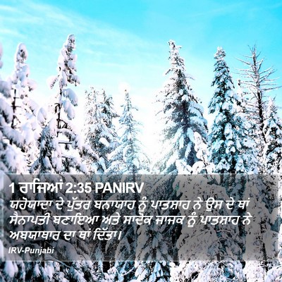 1 ਰਾਜਿਆਂ 2:35 PANIRV Bible Verse Image