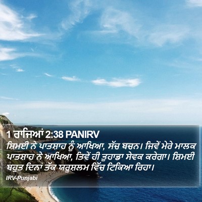 1 ਰਾਜਿਆਂ 2:38 PANIRV Bible Verse Image