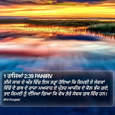 1 ਰਾਜਿਆਂ 2:39 PANIRV Bible Verse Image