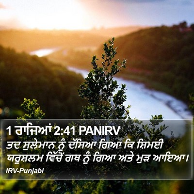 1 ਰਾਜਿਆਂ 2:41 PANIRV Bible Verse Image
