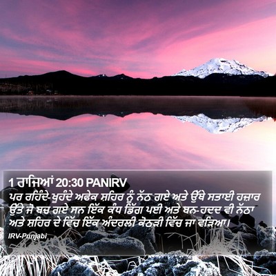 1 ਰਾਜਿਆਂ 20:30 PANIRV Bible Verse Image