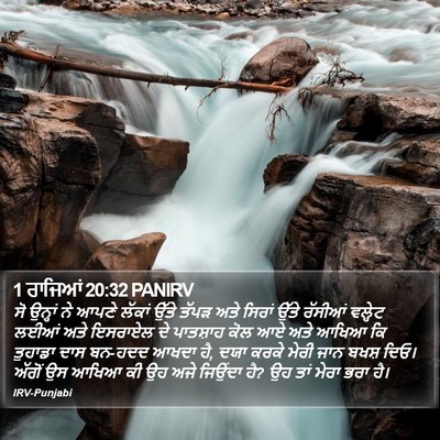 1 ਰਾਜਿਆਂ 20:32 PANIRV Bible Verse Image