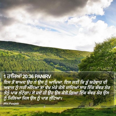1 ਰਾਜਿਆਂ 20:36 PANIRV Bible Verse Image