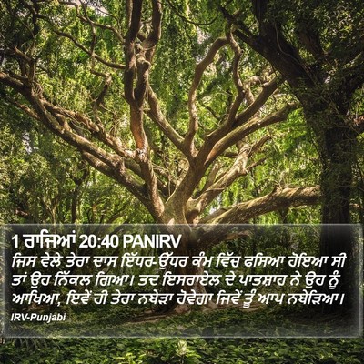 1 ਰਾਜਿਆਂ 20:40 PANIRV Bible Verse Image