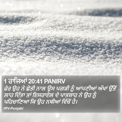 1 ਰਾਜਿਆਂ 20:41 PANIRV Bible Verse Image