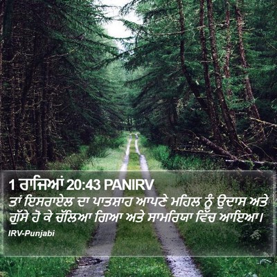 1 ਰਾਜਿਆਂ 20:43 PANIRV Bible Verse Image