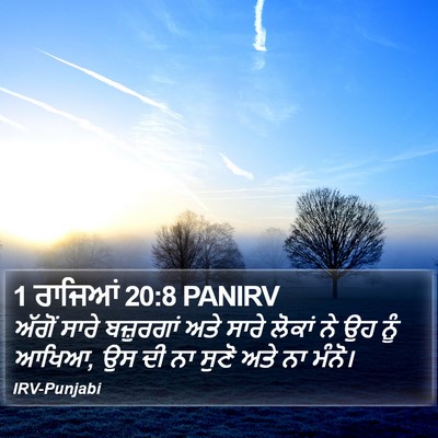 1 ਰਾਜਿਆਂ 20:8 PANIRV Bible Verse Image