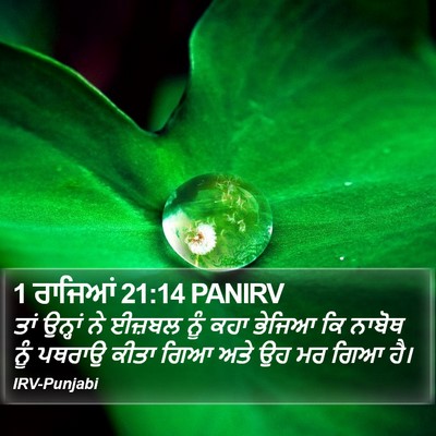 1 ਰਾਜਿਆਂ 21:14 PANIRV Bible Verse Image