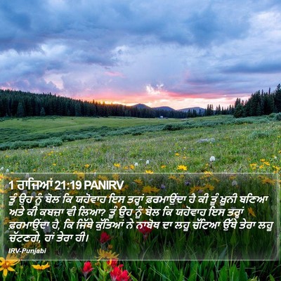 1 ਰਾਜਿਆਂ 21:19 PANIRV Bible Verse Image