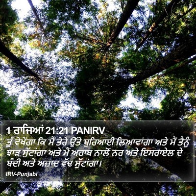 1 ਰਾਜਿਆਂ 21:21 PANIRV Bible Verse Image