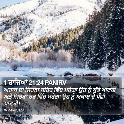 1 ਰਾਜਿਆਂ 21:24 PANIRV Bible Verse Image