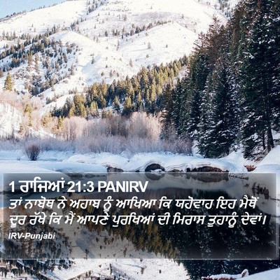 1 ਰਾਜਿਆਂ 21:3 PANIRV Bible Verse Image