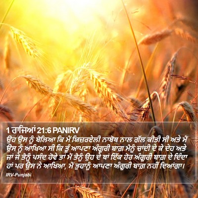 1 ਰਾਜਿਆਂ 21:6 PANIRV Bible Verse Image