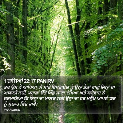 1 ਰਾਜਿਆਂ 22:17 PANIRV Bible Verse Image