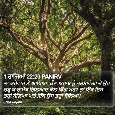 1 ਰਾਜਿਆਂ 22:20 PANIRV Bible Verse Image