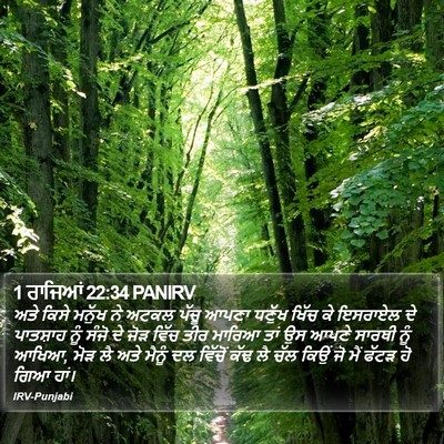 1 ਰਾਜਿਆਂ 22:34 PANIRV Bible Verse Image