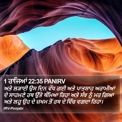 1 ਰਾਜਿਆਂ 22:35 PANIRV Bible Verse Image