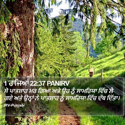 1 ਰਾਜਿਆਂ 22:37 PANIRV Bible Verse Image
