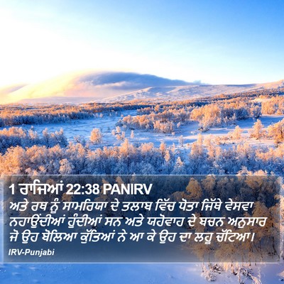 1 ਰਾਜਿਆਂ 22:38 PANIRV Bible Verse Image