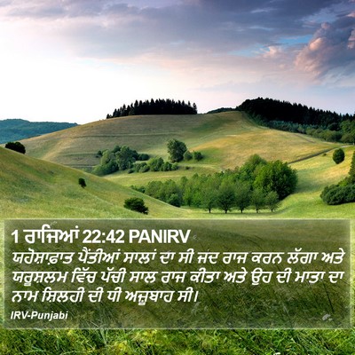 1 ਰਾਜਿਆਂ 22:42 PANIRV Bible Verse Image