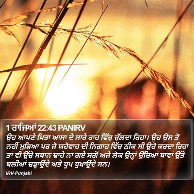 1 ਰਾਜਿਆਂ 22:43 PANIRV Bible Verse Image