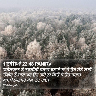 1 ਰਾਜਿਆਂ 22:48 PANIRV Bible Verse Image