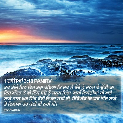 1 ਰਾਜਿਆਂ 3:18 PANIRV Bible Verse Image