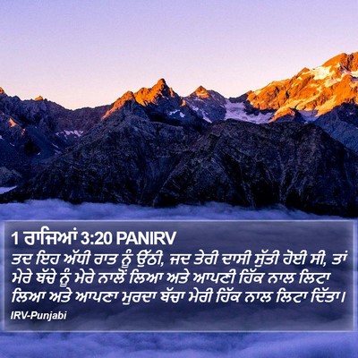 1 ਰਾਜਿਆਂ 3:20 PANIRV Bible Verse Image
