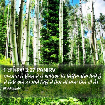 1 ਰਾਜਿਆਂ 3:27 PANIRV Bible Verse Image