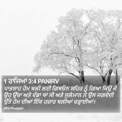1 ਰਾਜਿਆਂ 3:4 PANIRV Bible Verse Image