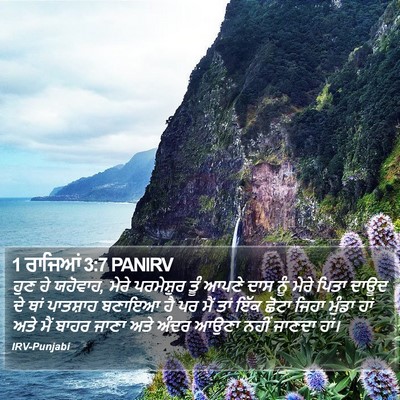 1 ਰਾਜਿਆਂ 3:7 PANIRV Bible Verse Image