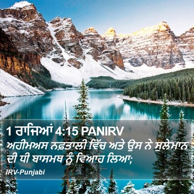 1 ਰਾਜਿਆਂ 4:15 PANIRV Bible Verse Image