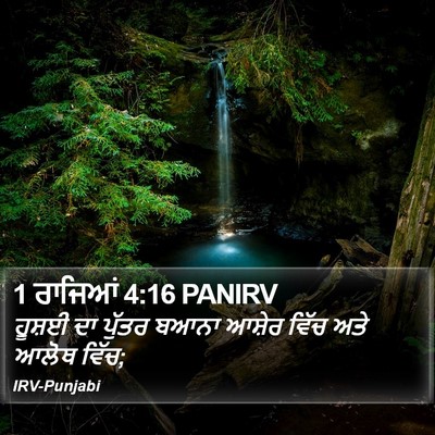 1 ਰਾਜਿਆਂ 4:16 PANIRV Bible Verse Image