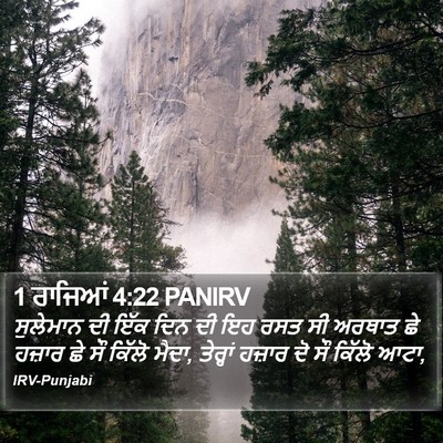 1 ਰਾਜਿਆਂ 4:22 PANIRV Bible Verse Image