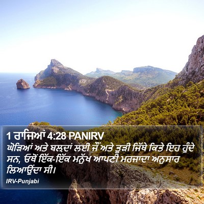 1 ਰਾਜਿਆਂ 4:28 PANIRV Bible Verse Image