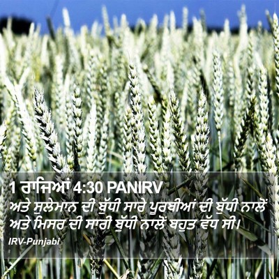 1 ਰਾਜਿਆਂ 4:30 PANIRV Bible Verse Image