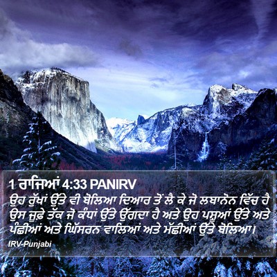 1 ਰਾਜਿਆਂ 4:33 PANIRV Bible Verse Image