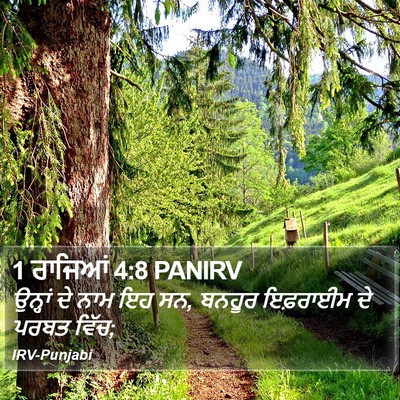 1 ਰਾਜਿਆਂ 4:8 PANIRV Bible Verse Image