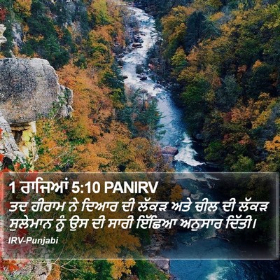 1 ਰਾਜਿਆਂ 5:10 PANIRV Bible Verse Image